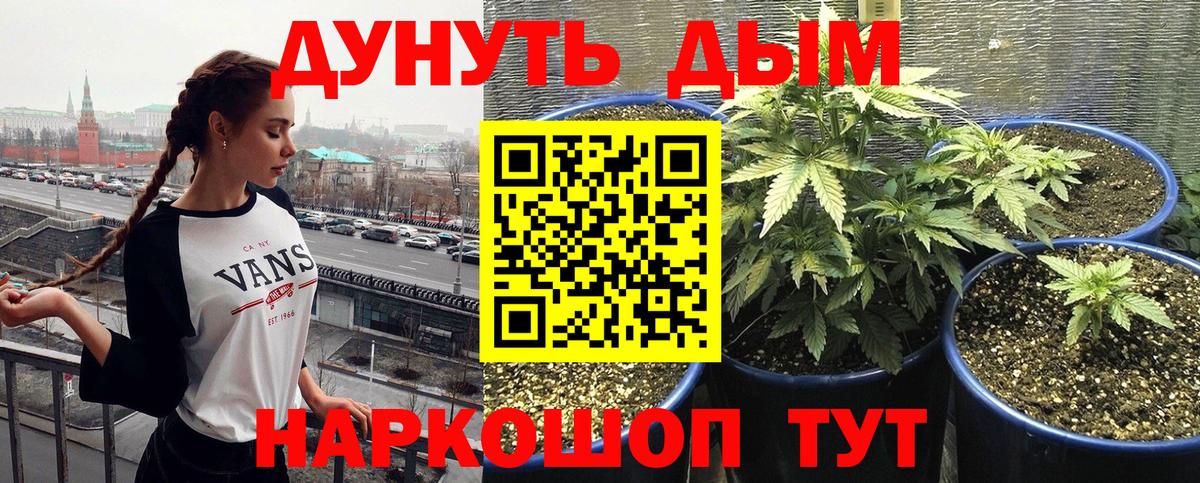 Конопля OG Kush  Бошки Шишки семена  Вход с VPN  Североморск 